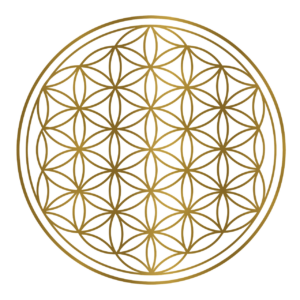 flower of life, sacred geometry, geometry-7230983.jpg